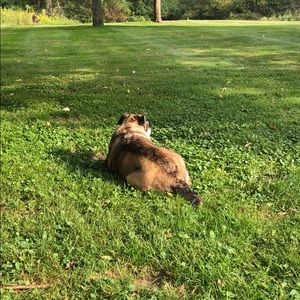 Meet your Posher, Brenda